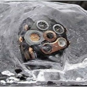 Meet your Posher, Timothy